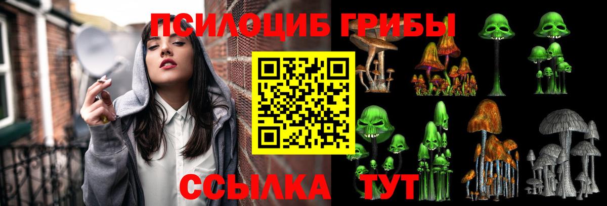 Псилоцибиновые грибы Psilocybine cubensis  Вход с VPN  Асбест  Псилоцибиновые грибы прущие грибы 