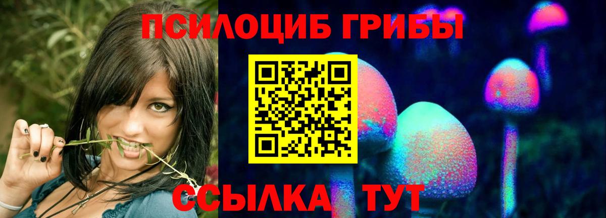 Псилоцибиновые грибы Cubensis Асбест